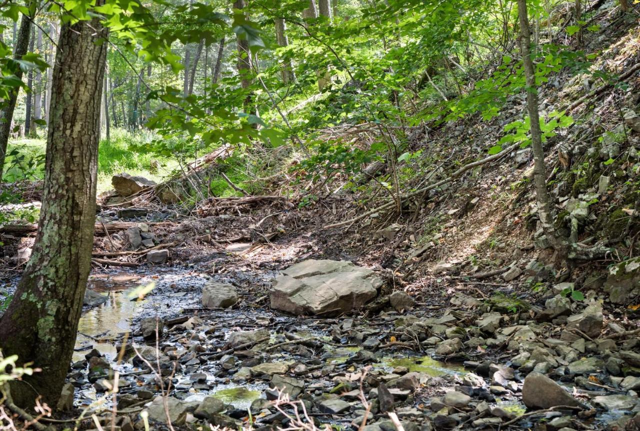 River Access W Hot Tub, Grill, Wifi, & Fire Pit! Lost City Luaran gambar